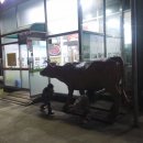 순천황우