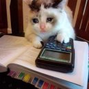 (주)다인무역 이미지