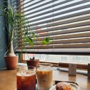 모디스트 임팩트 | 세종 조치원역 근처 분위기 좋은 느좋 카페 모디스트 임팩트 주차 디저트 솔직후기
