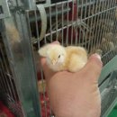 벧엘농장3 이미지