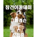 참견아카데미 이미지