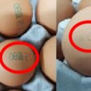 시온축산 이미지