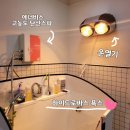 댕살롱 이미지