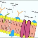 메디컬핏 | 건강과 핏을 동시에! 암사 PT의 새로운 혁신 - UKK 메디컬 트레이닝 센터 솔직 후기