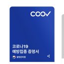 오하효