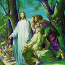 우리예수의원 이미지