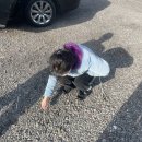 타코다방