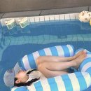 찬여울 댕댕이 동행펜션 | 우리 댕댕이와 잊지 못할 힐링을 경험하는 방법