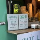 오름66 | 제주 안돌오름 비밀의 숲 후기 | 셀프웨딩 스냅 찍기 좋은 제주 웨딩촬영지