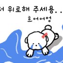 스튜디오레르