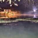 위양지 관광농원 이미지