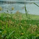 계절그리기 이미지