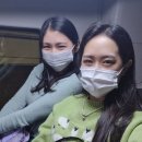 진도켄 이미지