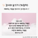 감사의 삶 5기 ＜16일차＞ (9/16) 이미지