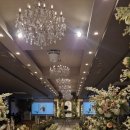 베뉴비안 이미지