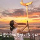 성천길 네이버블로그