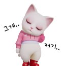 에코스토리 이미지