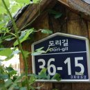 초록나무세상