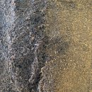 덕인농원 이미지