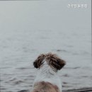 견우동물병원 - 광주시 태봉로 26 | 견우동물병원