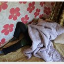 오아시스펜션 이미지