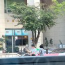 돈마을뒷고기 이미지