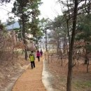 삼척에코건자재(주) | [건자재114]등산로매트, 왜 필요할까요?