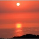 유림한의원 이미지