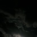 견불동정원 이미지