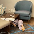 팰릭스바이에스티엑스 이미지