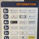 새로이 핏 이미지