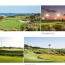 민골프클럽 이미지