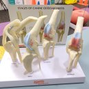 태안동물병원 이미지