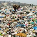 Pacific plastic dump far larger than feared: study 이미지