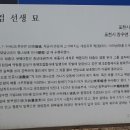 이사검 선생 묘 네이버블로그