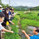 문당환경농업마을 | 홍성 문당환경농업마을, 대한민국 ‘최우수 관광마을’ 대표 후보로 나선다