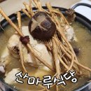 내원사계곡 맛집 산마루식당 백숙 후기