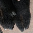 조산농장 이미지