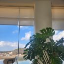 포커시스 디자인 아카이브 이미지