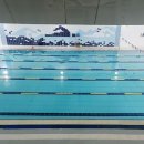 서울도곡초등학교 이미지