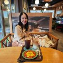 커피마마안산나무
