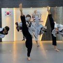 세계로태권도 이미지
