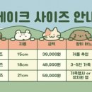 공이공육
