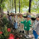 청담숲유치원 이미지