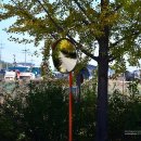 한적2길 이미지