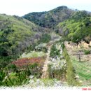 정자목장 이미지