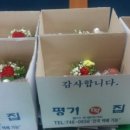 꽃달아
