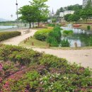 왕숙천공원 농구장옆 이미지