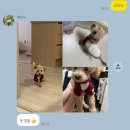 일하는곰아저씨 | 봄동,두바이가고 버터떡