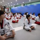 고려용호태권도 이미지